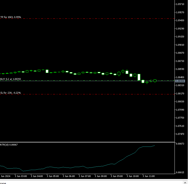 Random Trader Pro - Trade Example